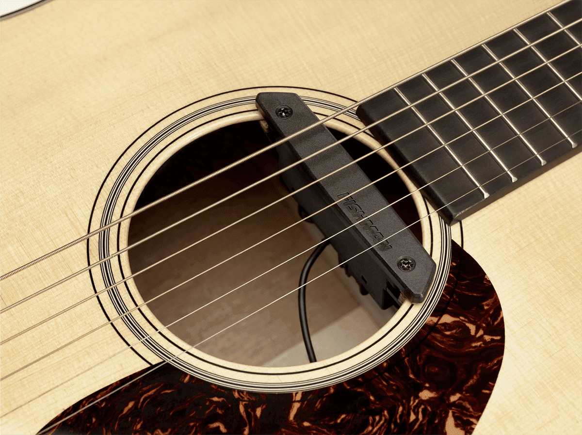 Fishman PRO-REP-102