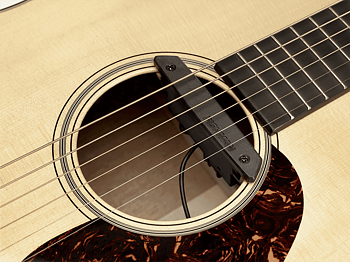 Fishman PRO-REP-102