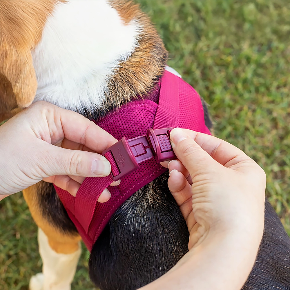 Curli clasp air mesh hundsele - 8