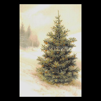 Julkort Vintage Vykort Nr: 445 - 10 x 15 cm - 438