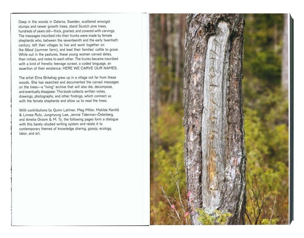 Elina Birkehag: D for Daughter - 2