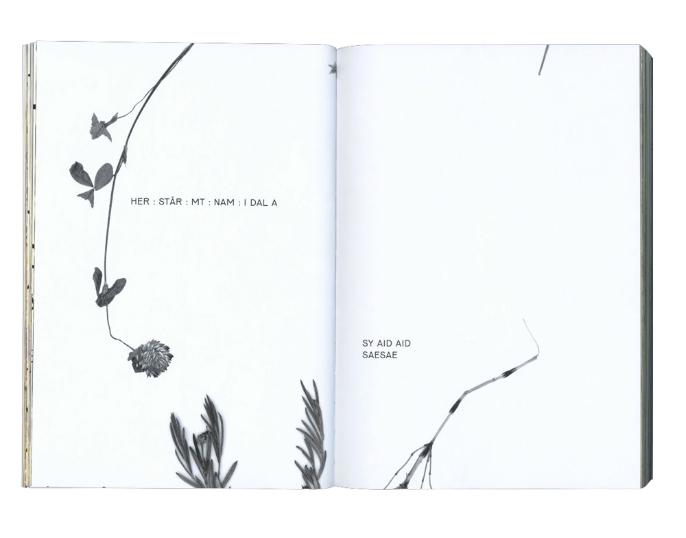 Elina Birkehag: D for Daughter - 7