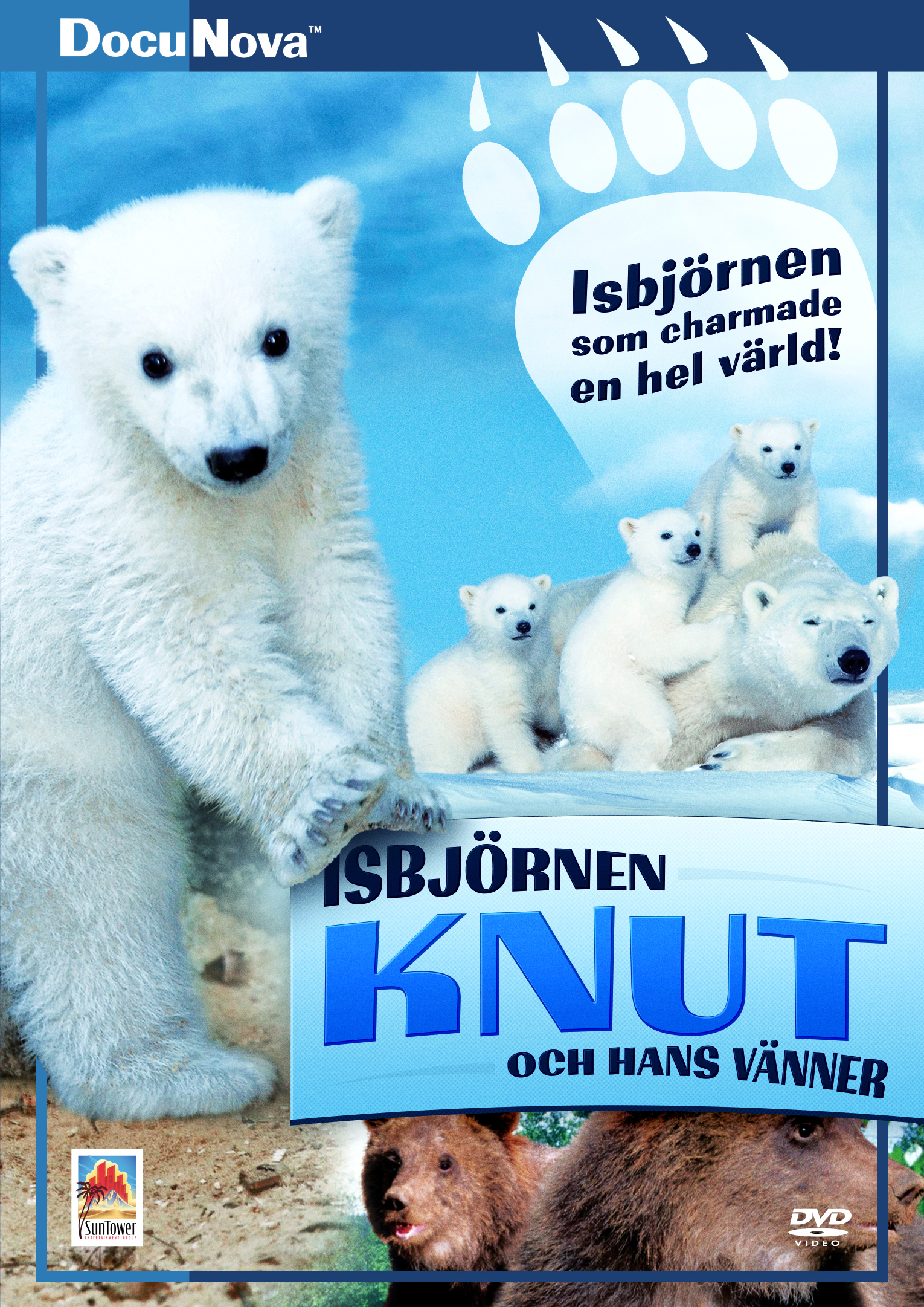 Isbjörnen Knut