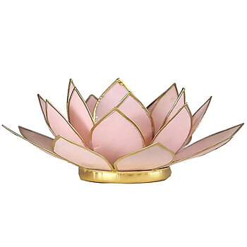 Lotuslyktan i snäckskal - Ljus Rosa 