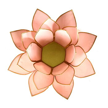 Lotuslyktan i snäckskal - Ljus Rosa 