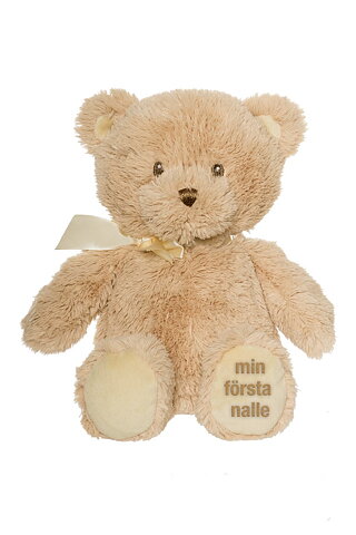  My First Teddy Bear, little one