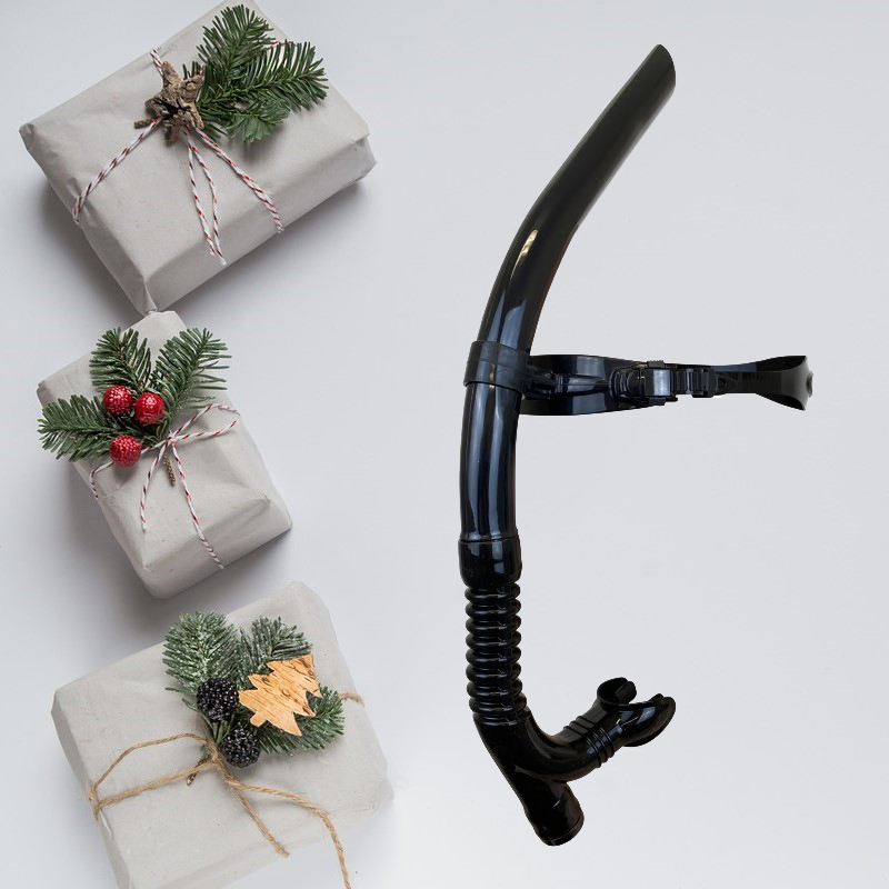 Front snorkle Flash Pro-X Black from Lane 4