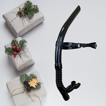 Front snorkle Flash Pro-X Black from Lane 4