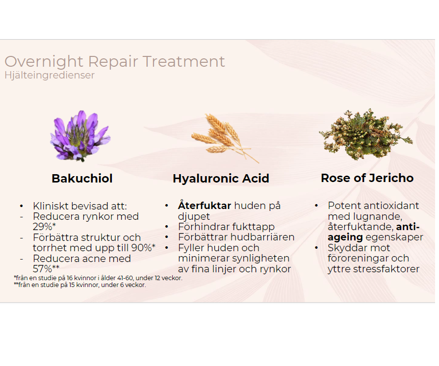 Organic Overnight Repair Treatment - INIKA  - 3
