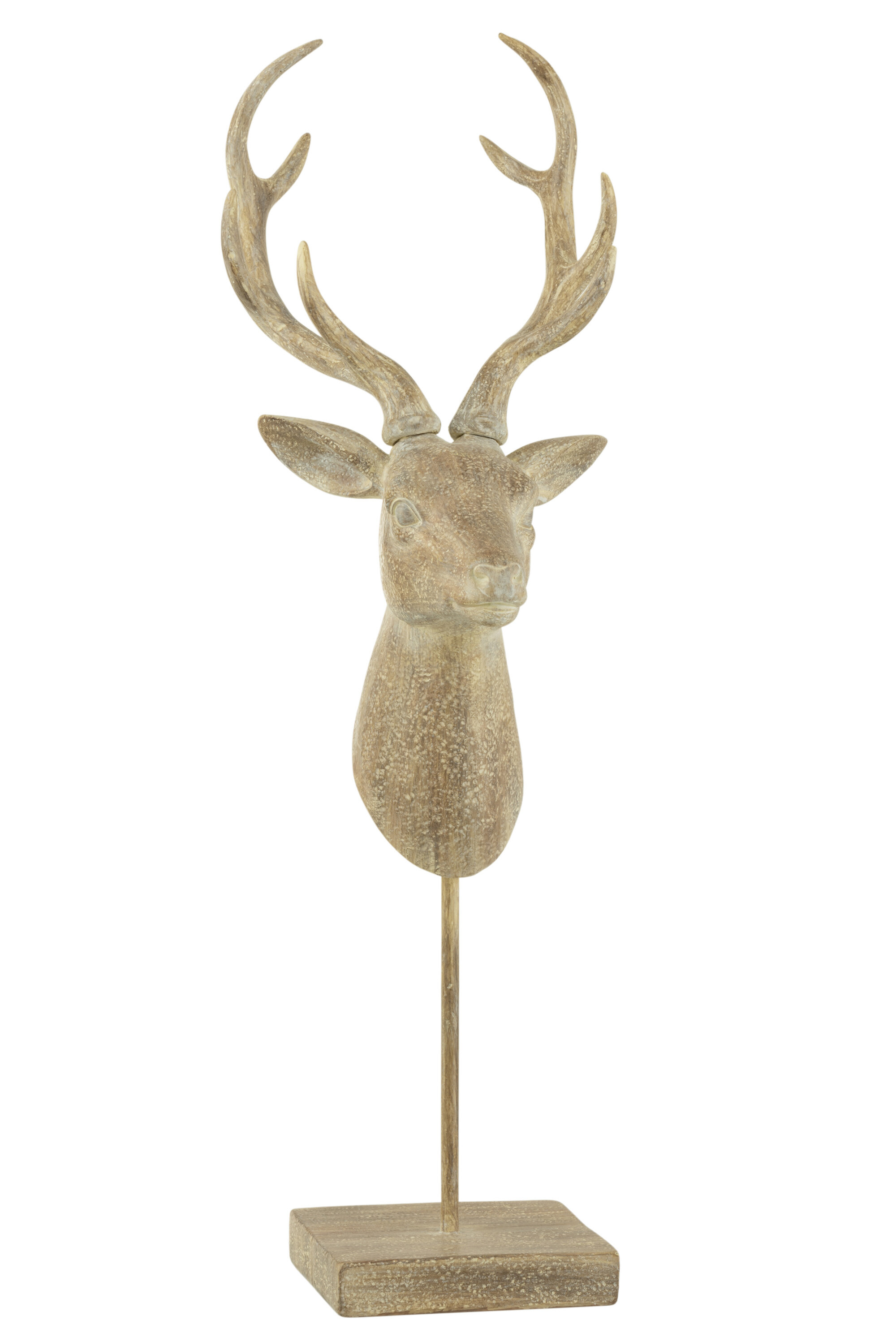 Jul - REINDEER on foot