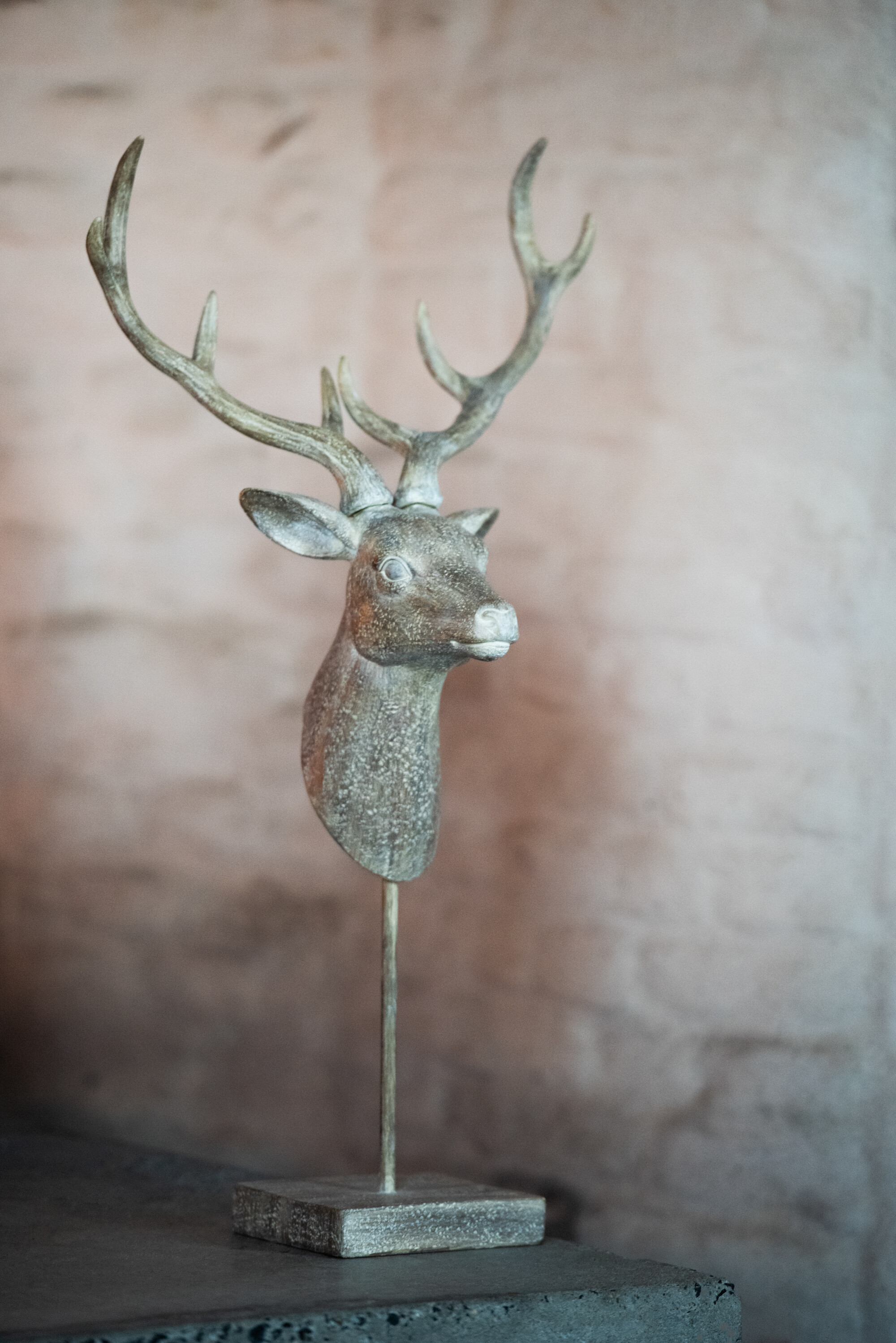 Jul - REINDEER on foot