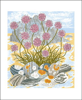 Angie Lewin : Sea Pinks and Pebbles - Kort med kuvert