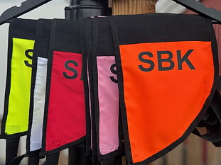 Tjänstetecken