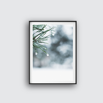 Winter Tree