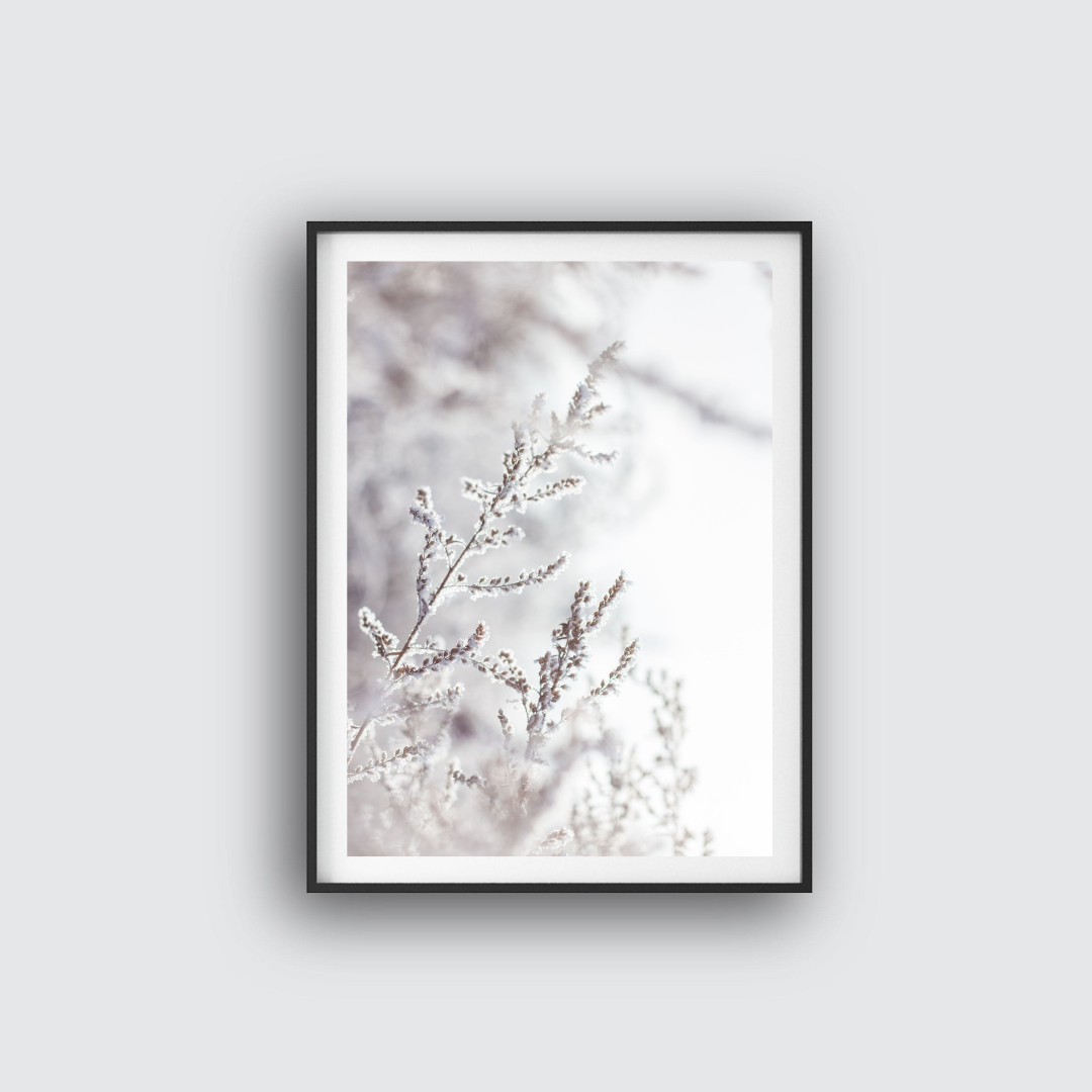 White winter poster
