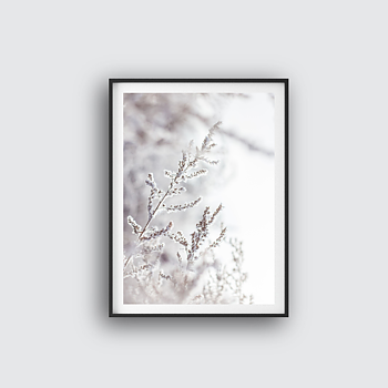 White winter poster