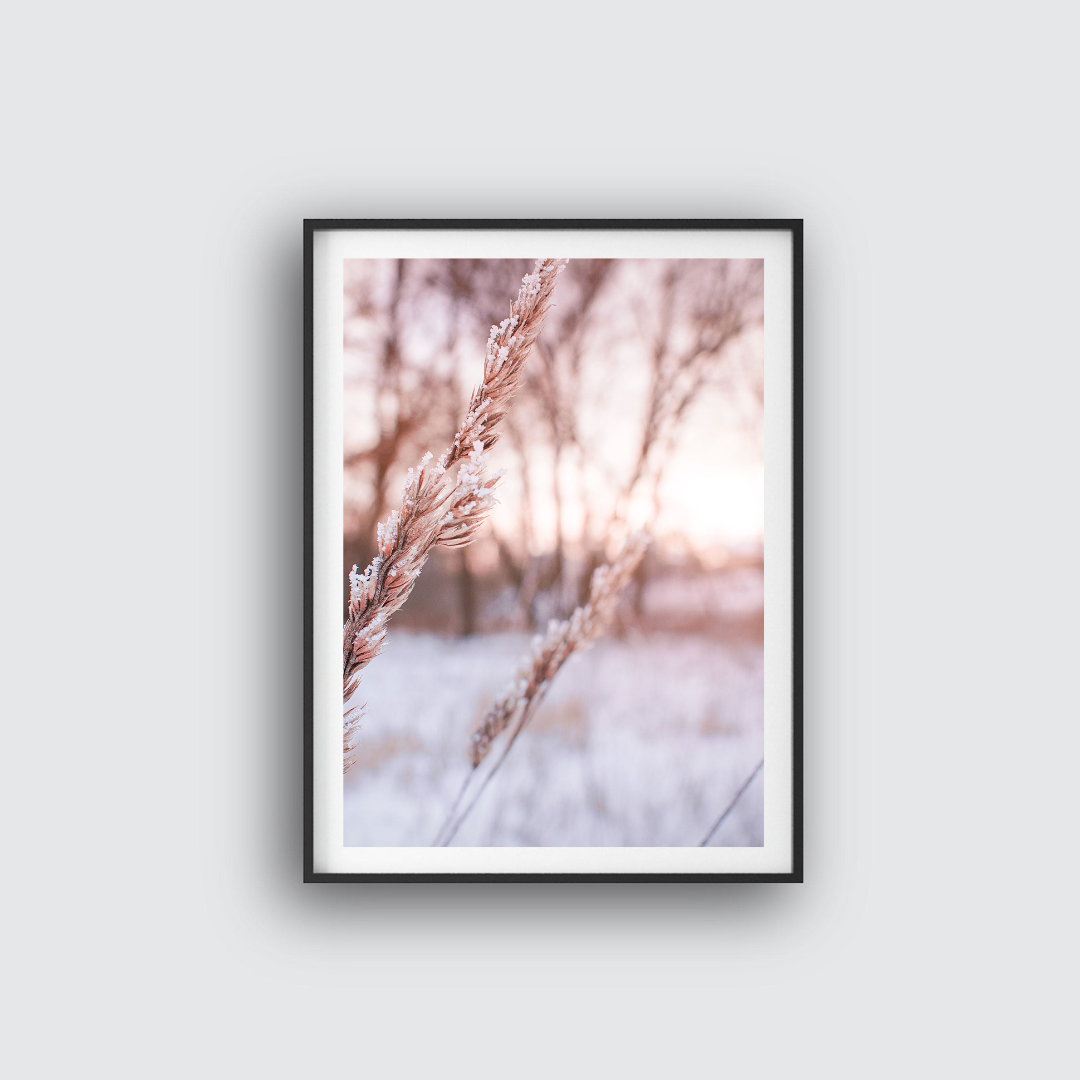Grass poster