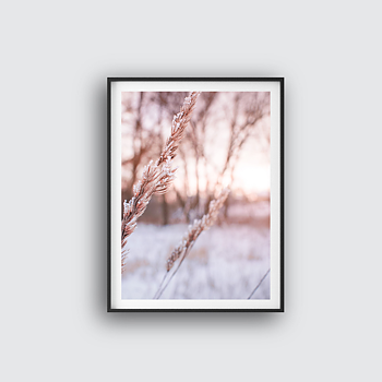 Grass poster