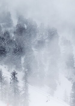 Winter wonderland poster