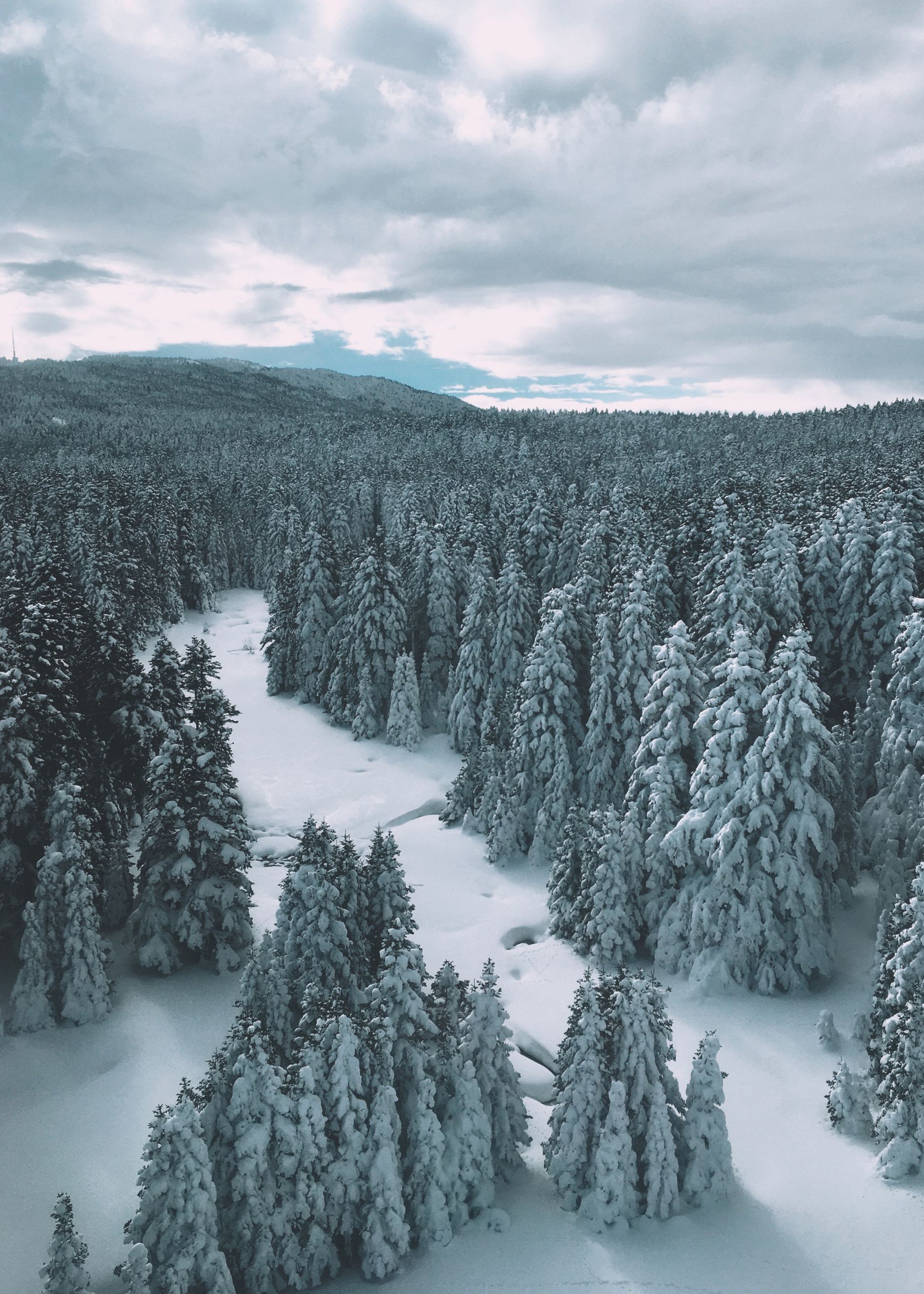 Winter landscape poster - 2