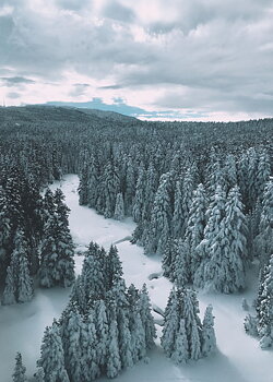 Winter landscape poster
