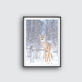 Winter animal poster