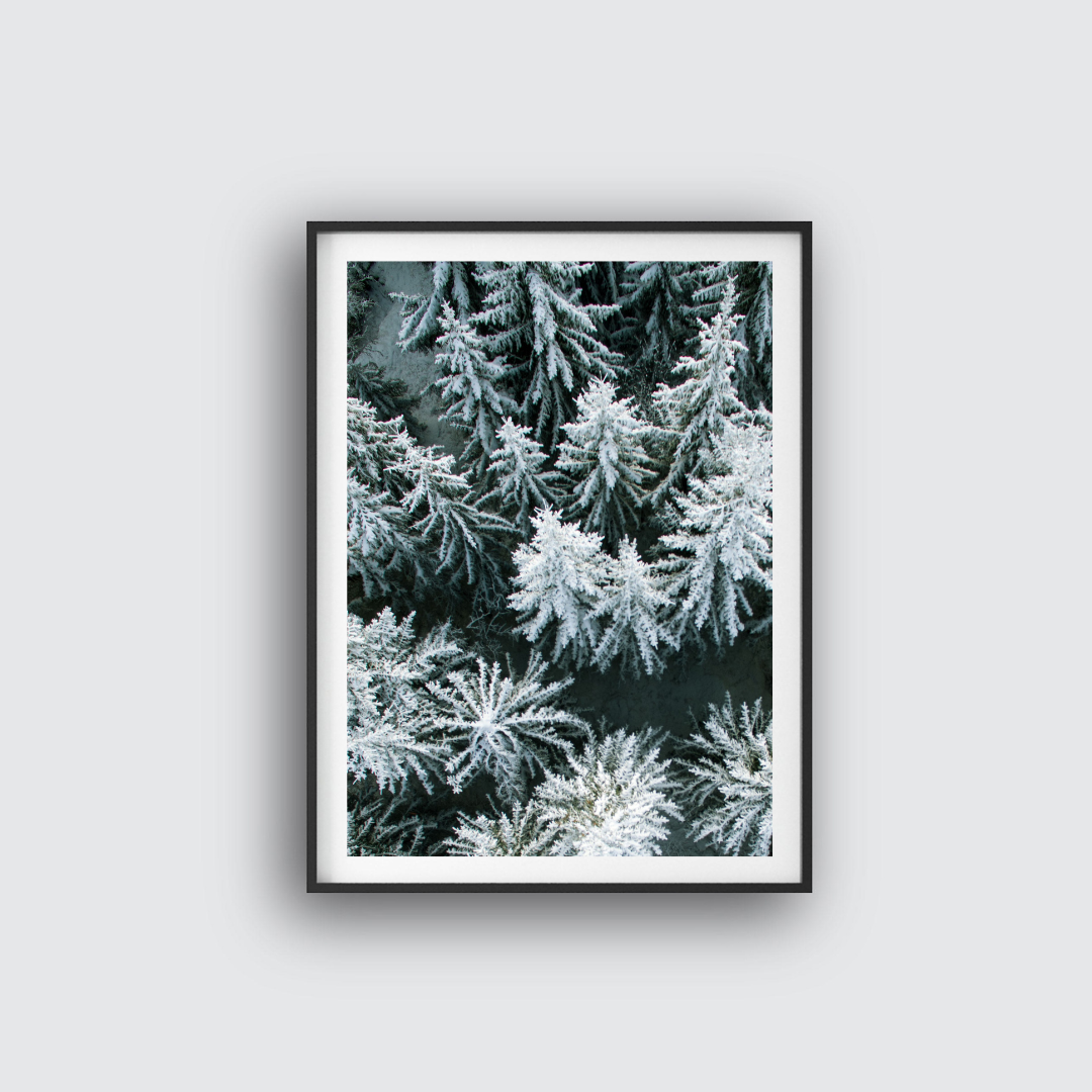 Gran poster