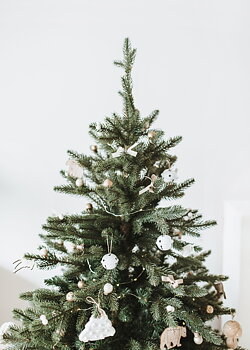 Joyful Tree poster