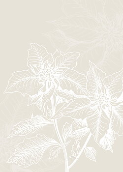 White flower poster
