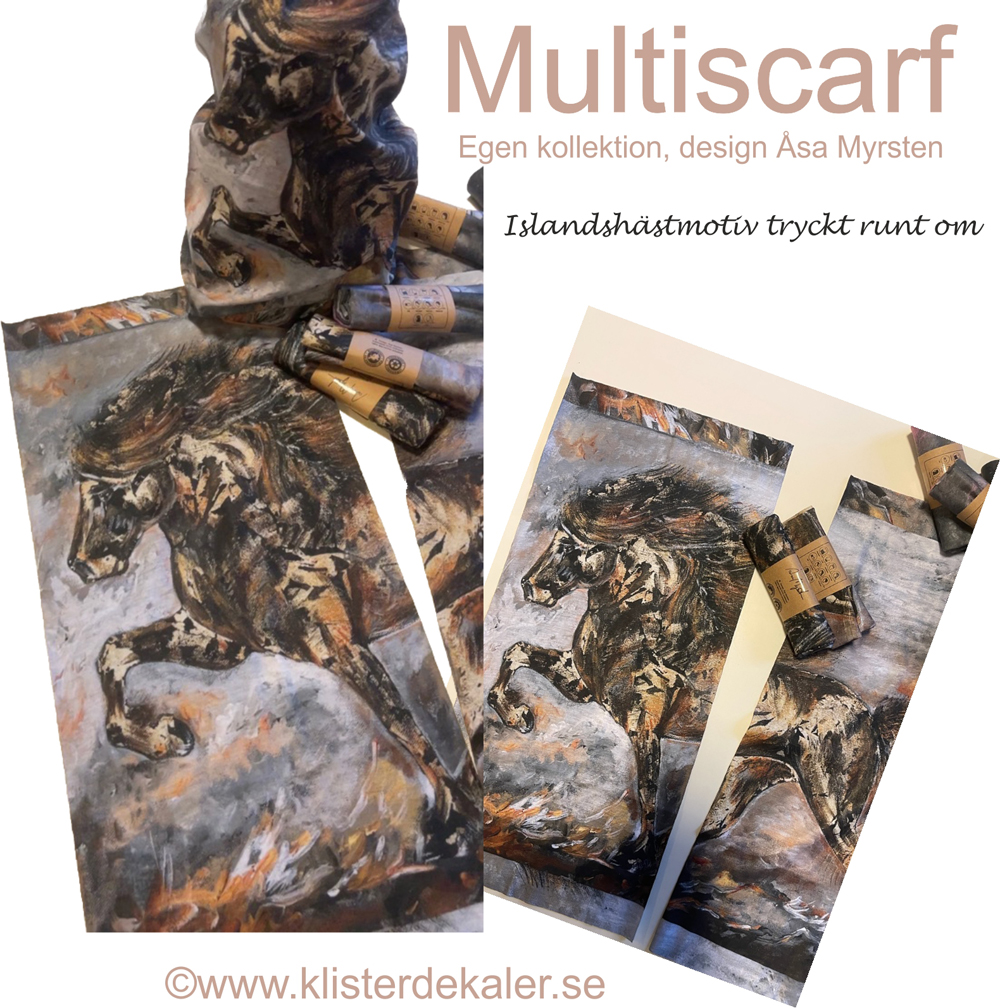Multi wear Icelandic horse - 2