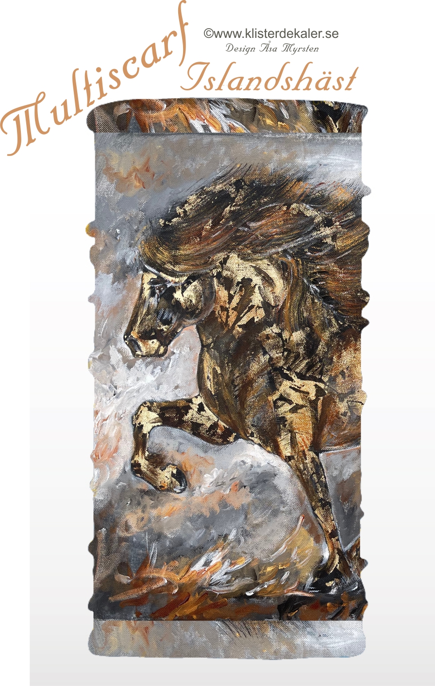 Multi wear Icelandic horse