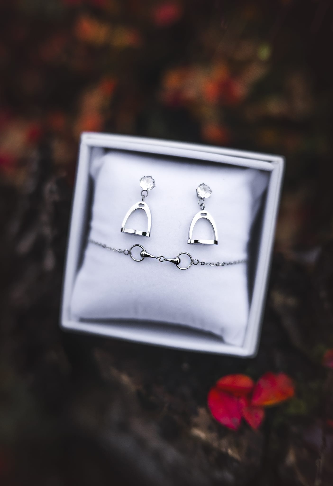 Stirrup Earrings Silver - 4