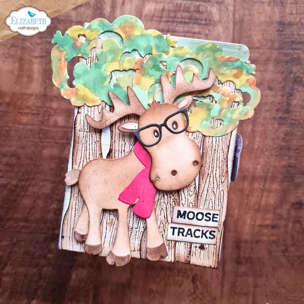 Elizabeth - Liam the Moose - 4
