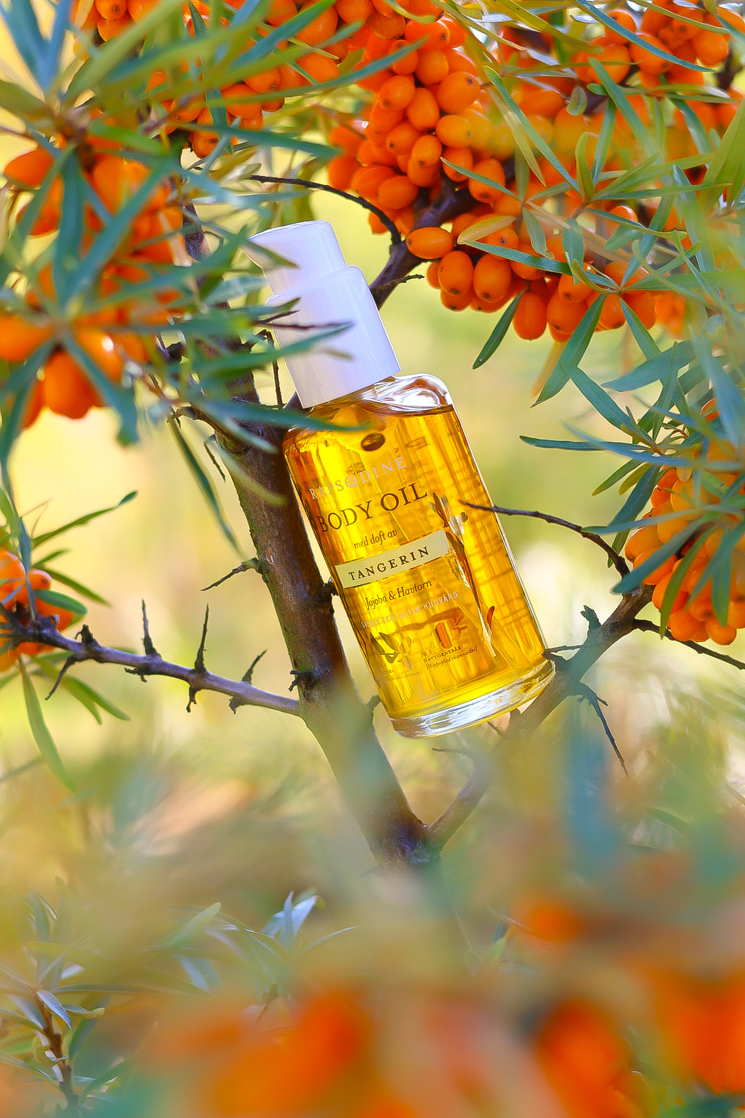 Body oil,  100 ml - 2