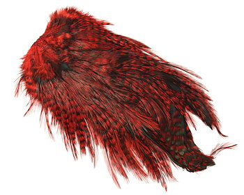 Whiting Coq de Leon Bronze Saddle - Pardo/Red