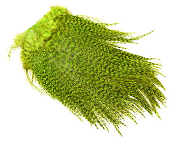 Whiting Coq de Leon Bronze Saddle - Pardo/Fl. Green