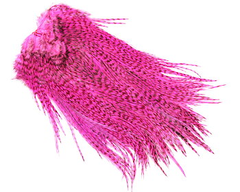 Whiting Coq de Leon Bronze Saddle - Pardo/Pink