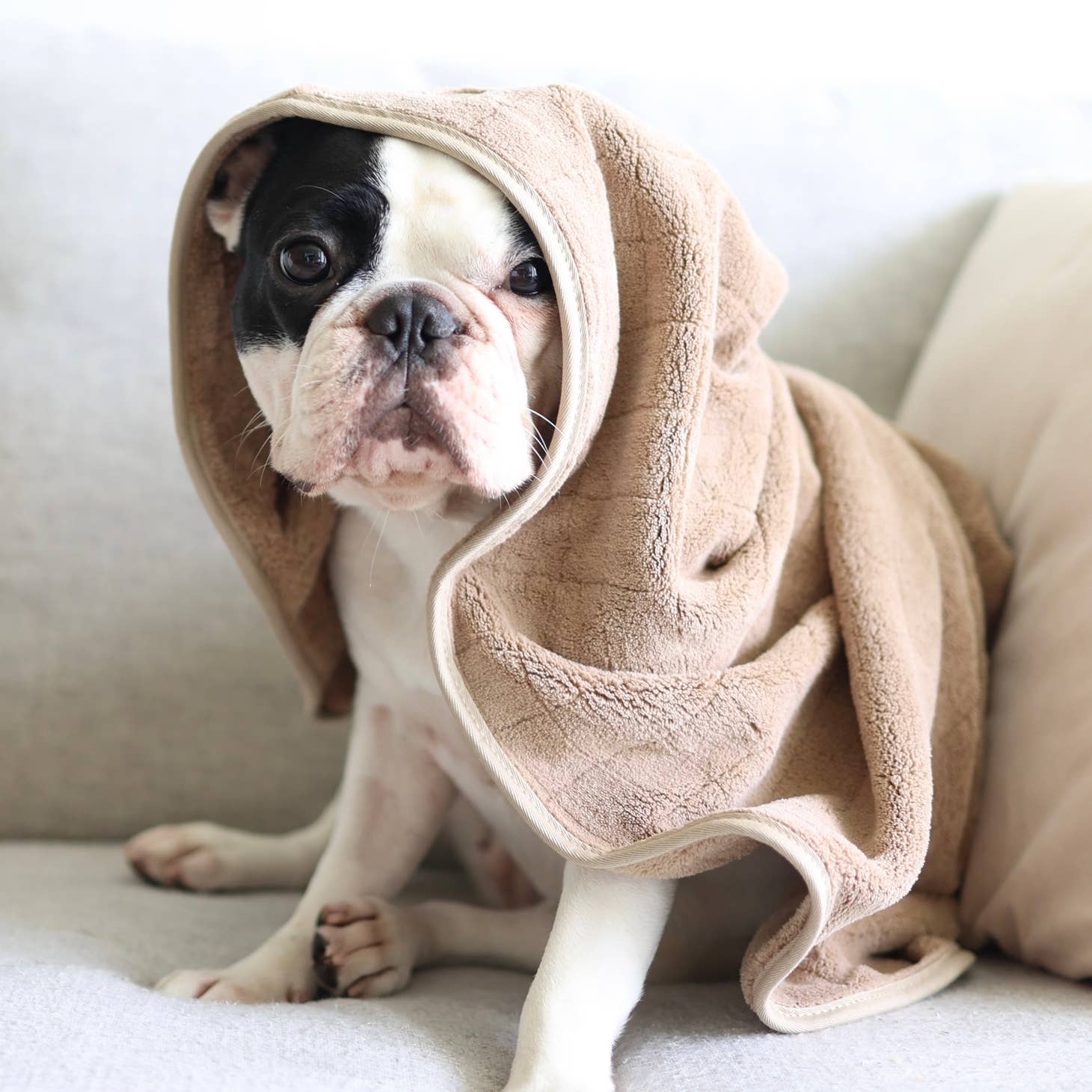 Lambwolf Fleece Towel Tan