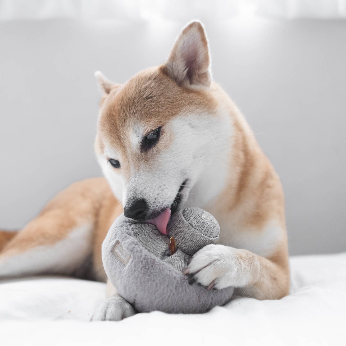 Lambwolf Guu Mushroom Toy - 2