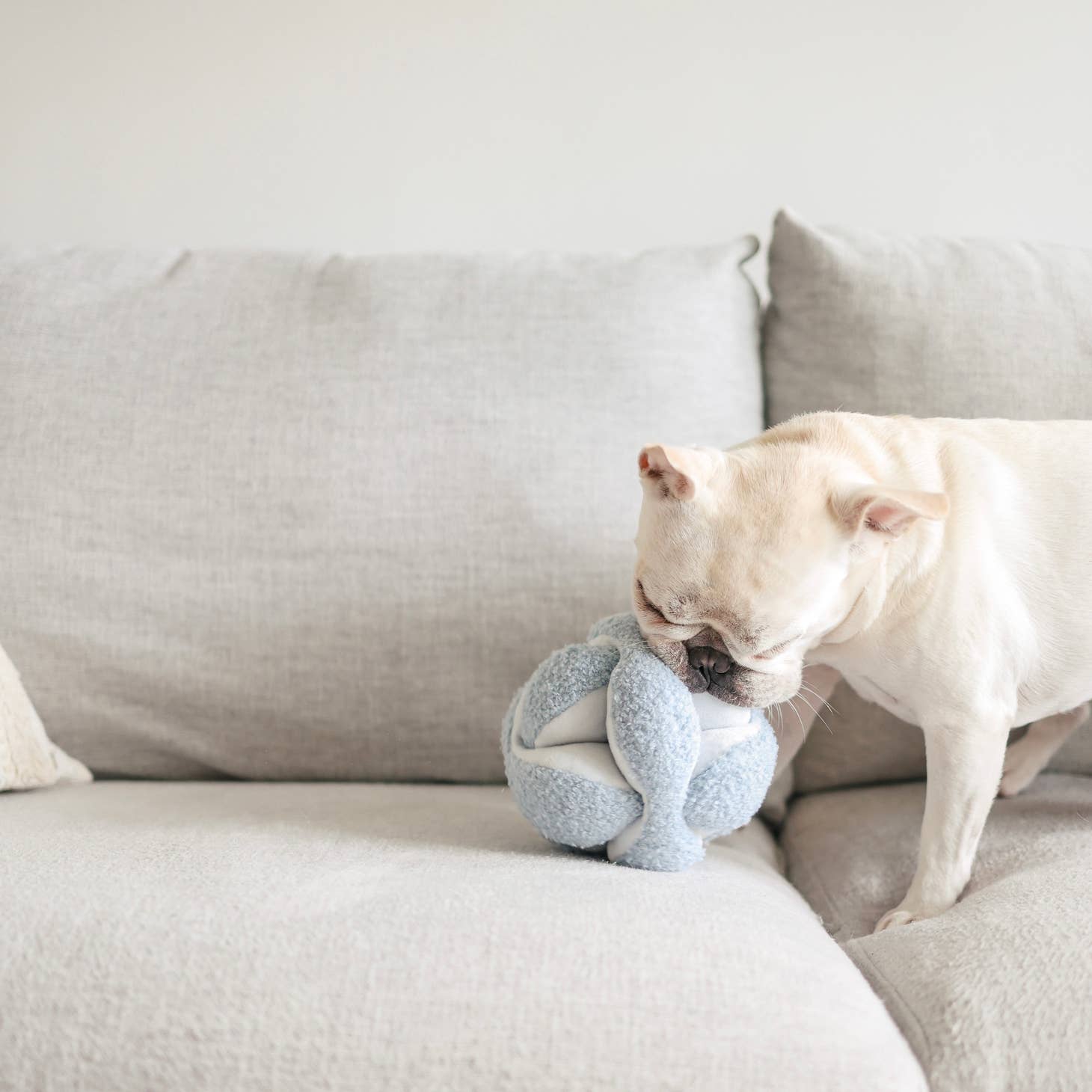 Lambwolf Monti Dog Toy Blue - 3