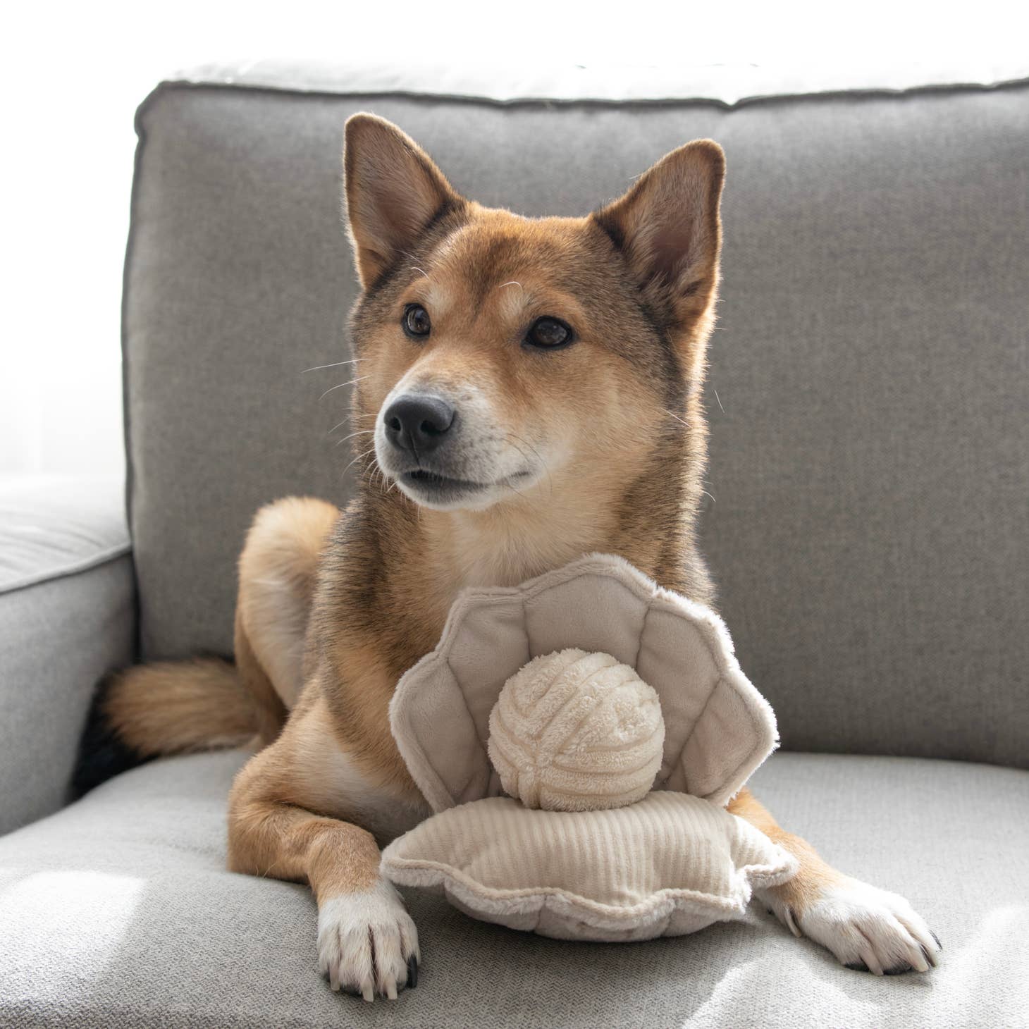 Lambwolf Oyster Dog Toy - 2