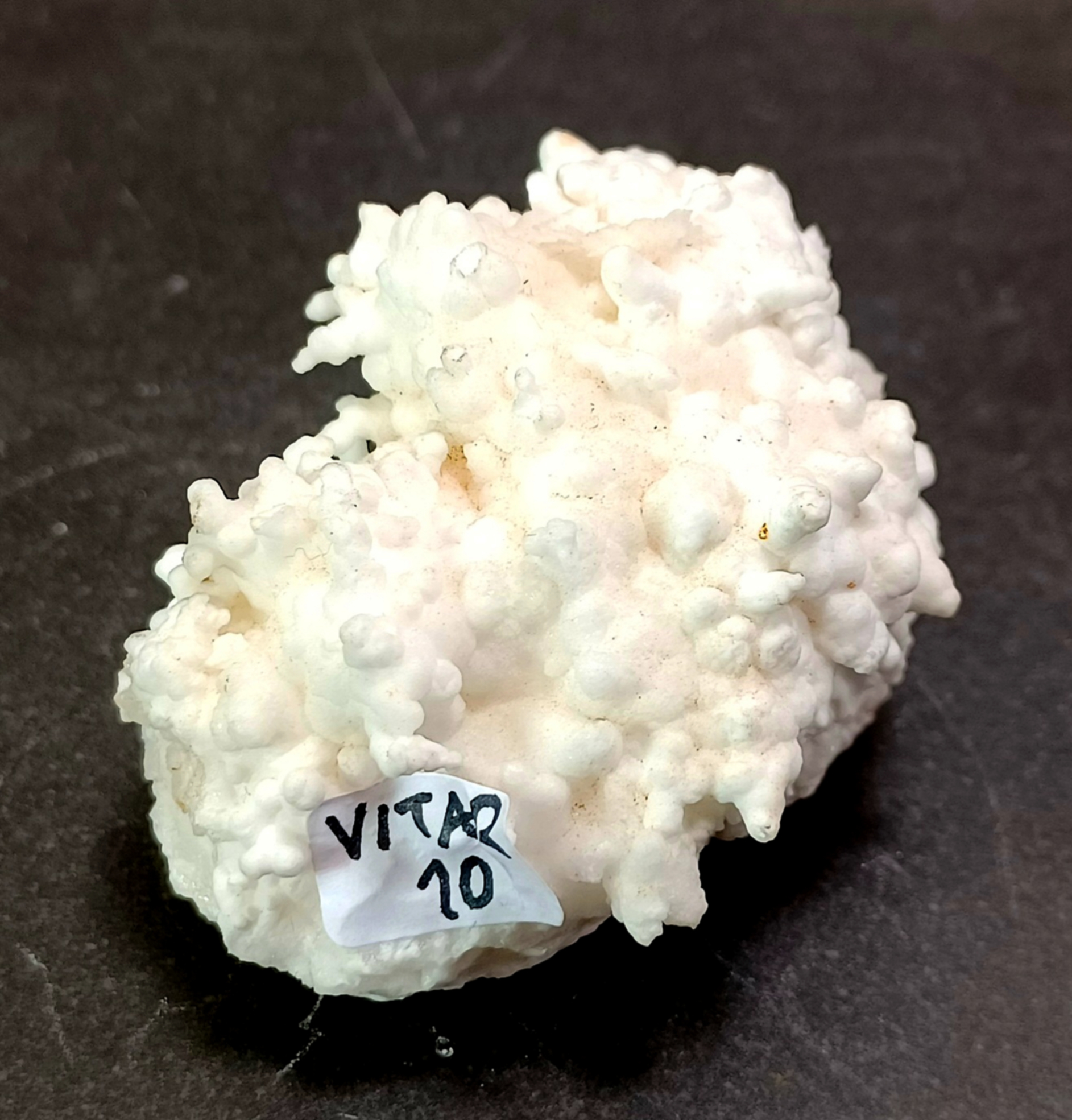 Vit Aragonit Kluster (Grottkalcit) -  VITAR10
