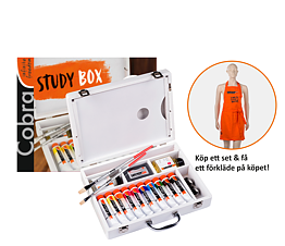 Study oil colour basic box 