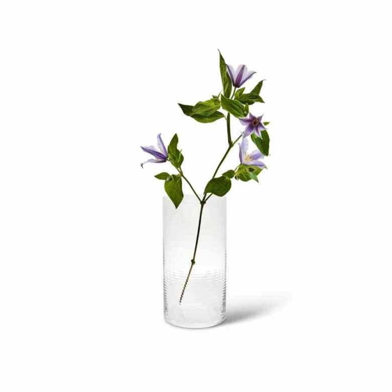 Laine Vas 25 cm Clear - 2