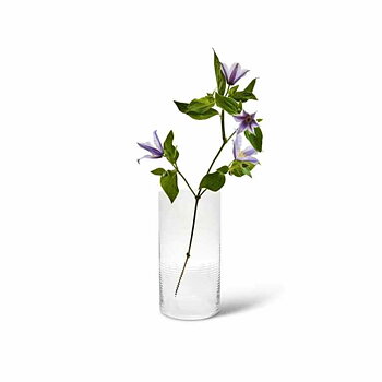 Laine Vas 25 cm Klar