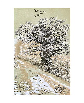 Frosted Oak by Niki Bowers, Greeting Card