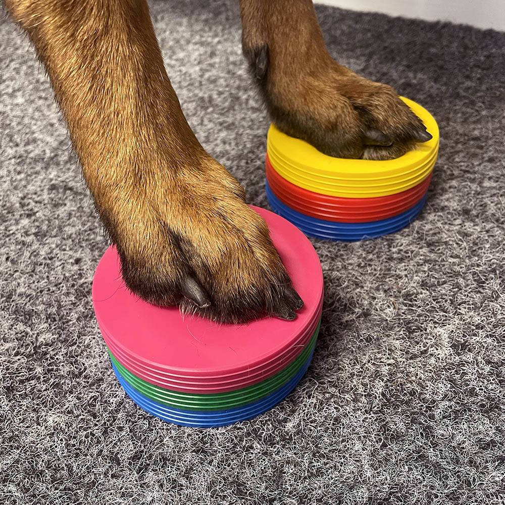 Balance pad mini - 2 pcs - 6