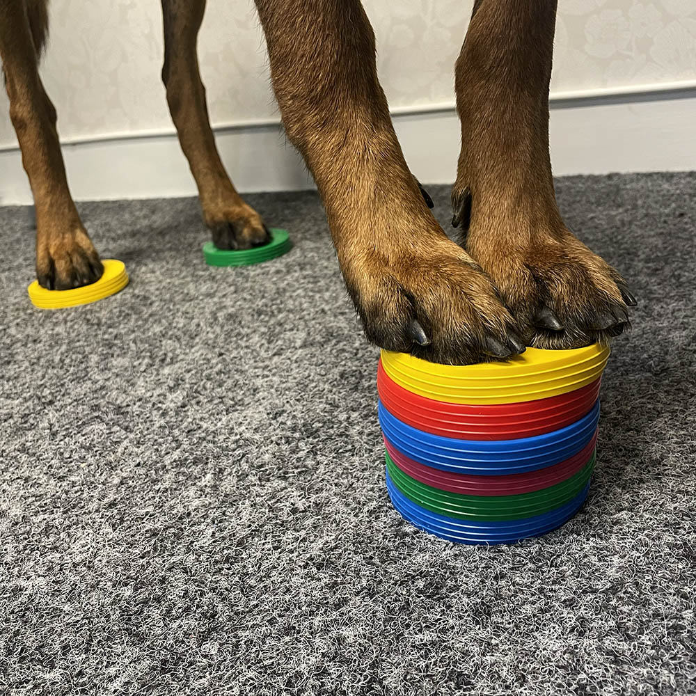 Balance pad mini - 2 pcs - 3
