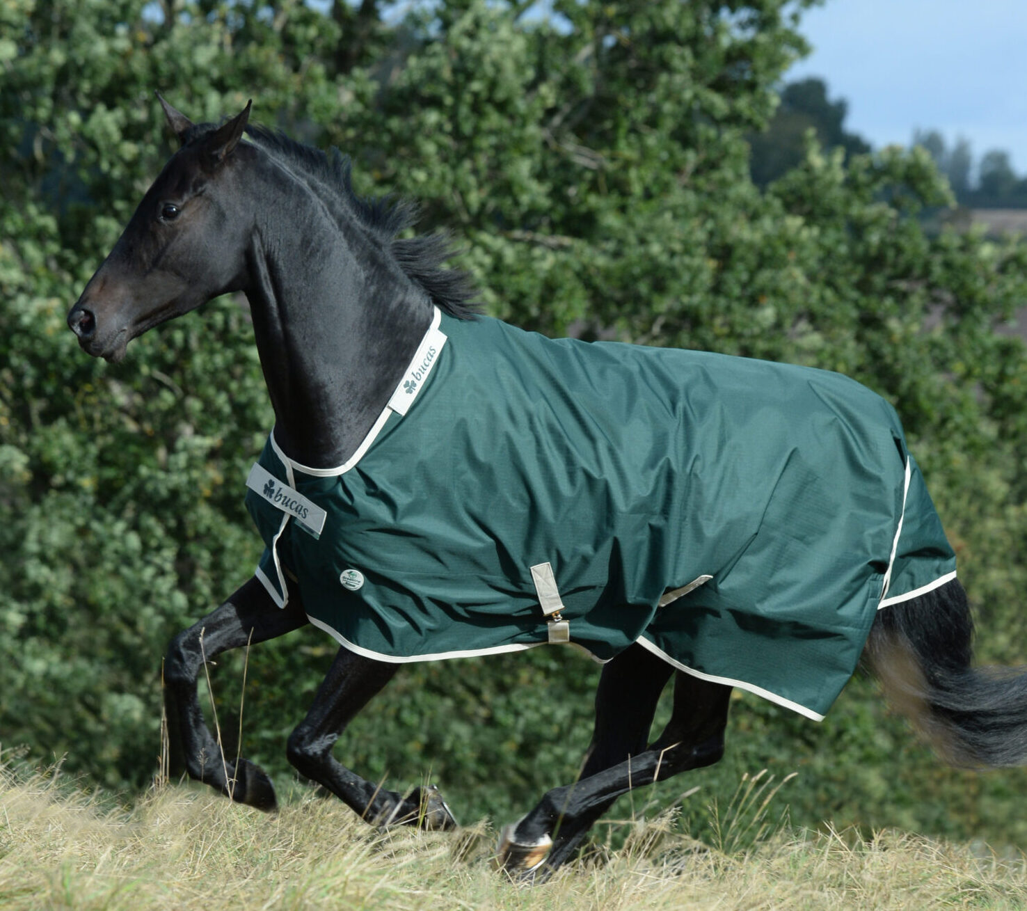 Bucas Greenline Turnout Utetäcke - 100 g