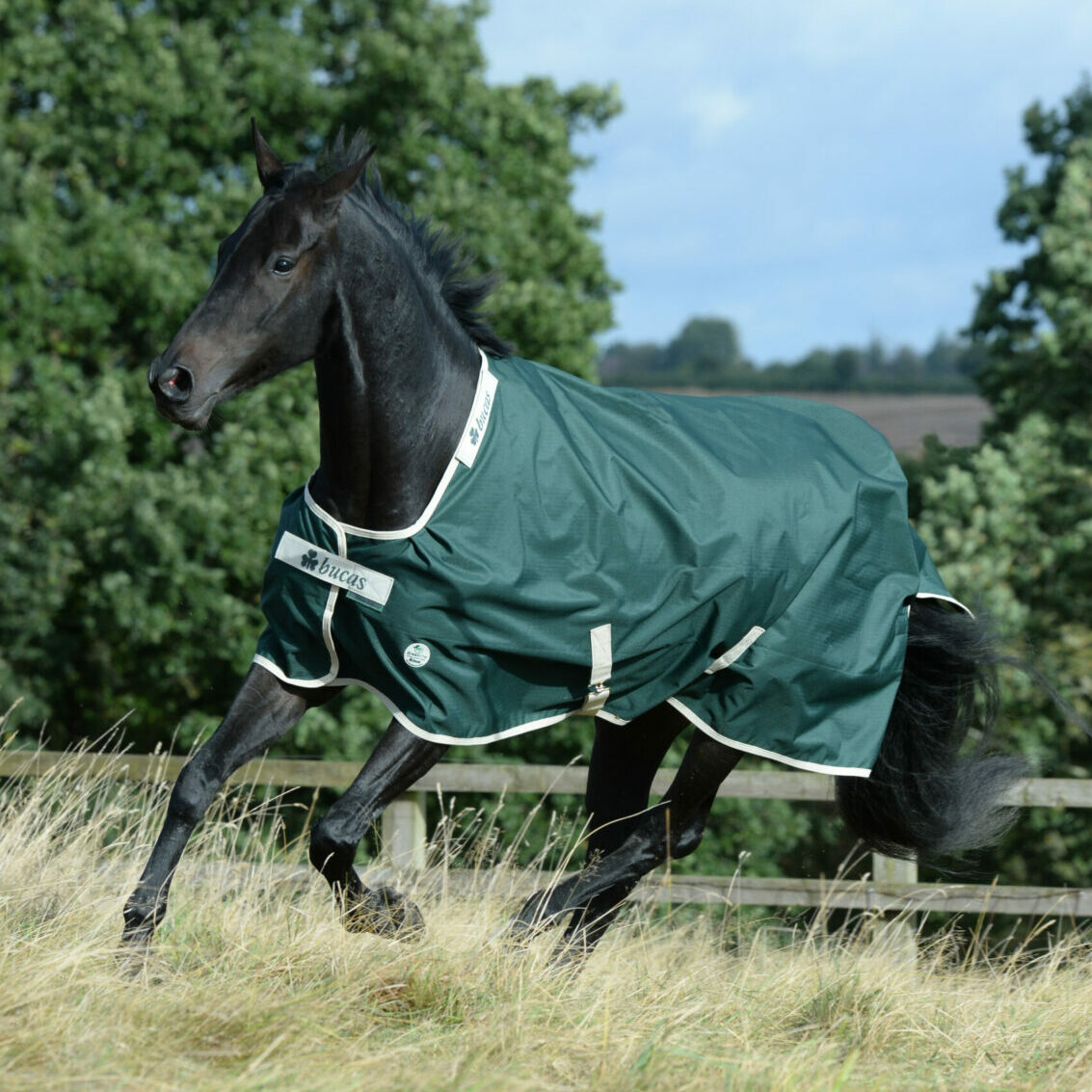 Bucas Greenline Turnout Utetäcke - 100 g